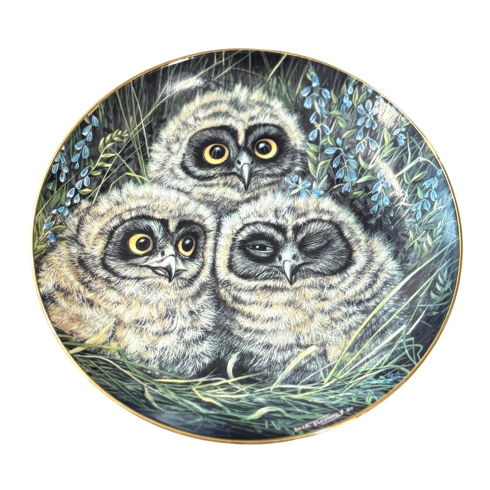 Danbury Mint Short-eared Owls Collector Plate Dick Twinney Baby Owls 8" A1624